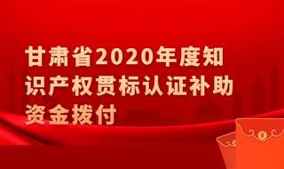 甘肃省2020年度知识产权奖补资金拨付，贯标补助30万元